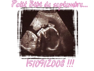 Suite...echo morpho!!!