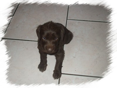 Un gros P�p�re!!!