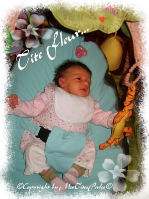 Des petites nouvelles...