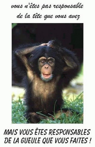 Regarde ta troncheuuuh!!!